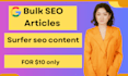 write bulk surfer seo optimized blog post and articles
