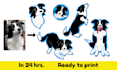 create custom stickers of your dog or cat from a photo