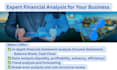 do for you financial analysis, business valuation and budgeting