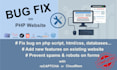 fix a bug on your php website