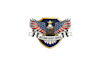 create graceful and fantastic eagle logo design