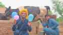make happy birthday video or funny birthday video message