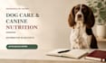 write dog care and canine nutrition blog posts