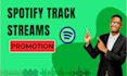do spotify ads campaign to spotify track music streams effective