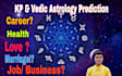 do birth chart reading by kp, vedic astrology and provide remedies