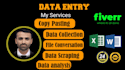 handle your excel data entry excel to pdf and translation
