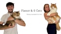 performance starke katzen ugc videos drehen