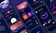 develop custom flutterflow webapp flutter saas website flutterflow mobileapp mvp