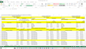 automate and manage your excel data with advance  formulas