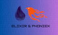 expert elixir phoenix webapp development bug fixing fast websites