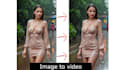 animate your still pictures and will bring them into life