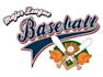 do make an modern custom softball logo