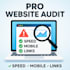 audit your website and provide an actionable SEO report