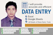 provide accurate and efficient data entry services