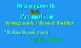 organic twitter, tiktok marketing and promotion