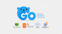 be your expert golang backend developer for apis, databases, and integrations