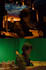 do professional visual effects, green screen replacement