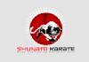 design aesthetics martial arts program logo