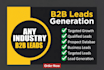 export targeted b2b lead generation for any industry leads gen