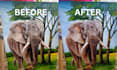 retouch and enhance photos