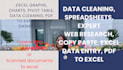 help in microsoft excel data cleaning, spreadsheets, expert convert pdf to excel