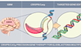 help you with crispr, cancer, neuroscience tasks