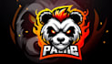 design unique fierce panda logo with express delivery