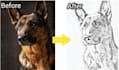 do pencil sketch drawing in just a few hours