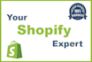 create shopify dropshipping store or branded shopify website