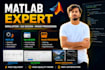 do matlab programming ,image processing, gui design