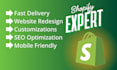 build a professional shopify ecommerce store for your business