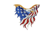 professionally digitize any logo for embroidery digitizing