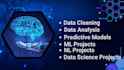 do data science, nlp, machine learning, deep learning and computer vision task