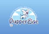 design dog walking company logo