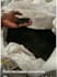 supply copper concentrate from zambia