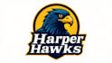 make an amazing harper hawk mascot logo  with express delivery