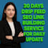 30 days drip feed SEO link building with daily updates manual backlinks