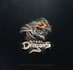 make 5 epic dragon logo intro video animations