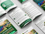 do book layout, ebook design or lead magnet in 24 hours