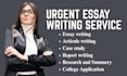 urgent technical writing,dissertation and article writing