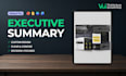 create your executive summary or investment teaser