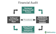 help you with auditing your financials