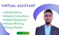 be your professional and reliable data entry expert