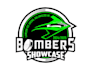 creative hockey team logo design