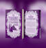 design a professional and eye catching book cover