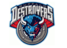 design high quality buffalo mascot logo with free source file