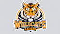 design tiger mascot logo with creative concepts