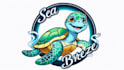 do sea turtle mascot logo in 48 hours