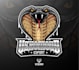 design a unique snake logo