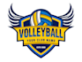 design professional volleyball logo